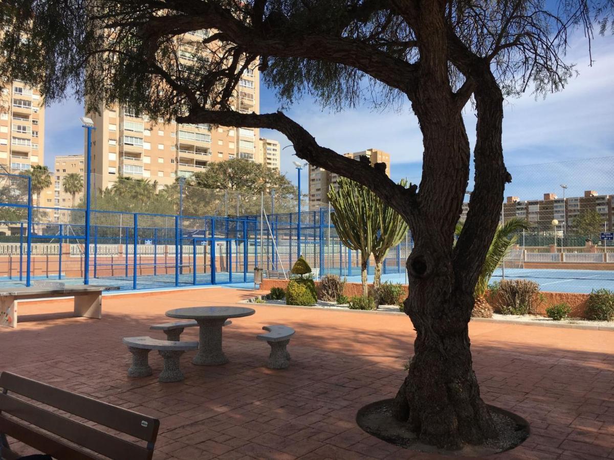 Estudio Playa Muchavista Appartement El Campello